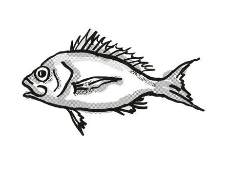 Retro cartoon style drawing of a Western Orange Perch , a native Australian marine life species viewed from side on isolated white background done in black and white.