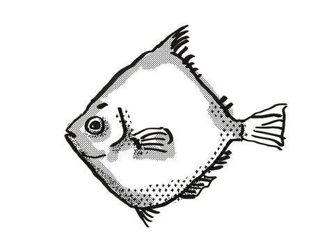 Retro cartoon style drawing of a Rosy Deepsea Boarfish , a native Australian marine life species viewed from side on isolated white background done in black and white.