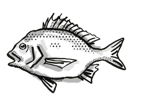 Retro cartoon style drawing of a North West Black Bream, a native Australian marine life species viewed from side on isolated white background done in black and white
