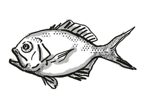 Retro cartoon style drawing of a Yelloweye Redfish  , a native Australian marine life species viewed from side on isolated white background done in black and white. 