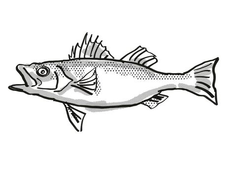 Retro cartoon style drawing of a Japanese Seaperch  , a native Australian marine life species viewed from side on isolated white background done in black and white.