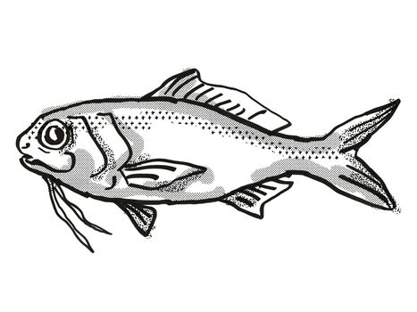 Retro cartoon style drawing of a Berndt's Beardfish , a native Australian marine life species viewed from side on isolated white background done in black and white.