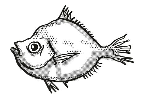 Retro cartoon style drawing of a Malayan Deepsea Boarfish , a native Australian marine life species viewed from side on isolated white background done in black and white.