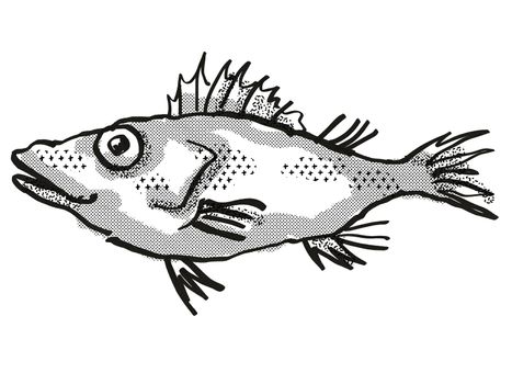 Retro cartoon style drawing of a Longsnout No-line Scorpionfish , a native Australian marine life species viewed from side on isolated white background done in black and white.