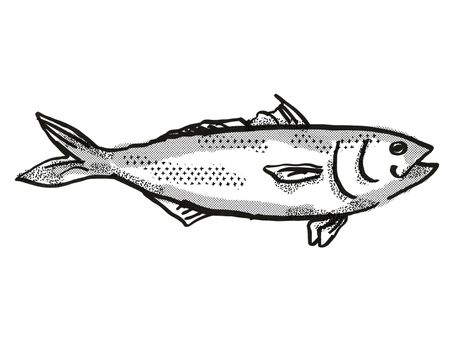 Retro cartoon style drawing of a Eastern Australian Salmon , a native Australian marine life species viewed from side on isolated white background done in black and white.