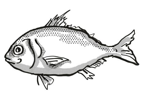 Retro cartoon style drawing of a Longspine Beardfish  , a native Australian marine life species viewed from side on isolated white background done in black and white.