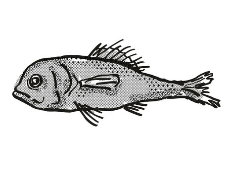 Retro cartoon style drawing of a Eyebrow Bigscale , a native Australian marine life fish species viewed from side on isolated white background done in black and white.