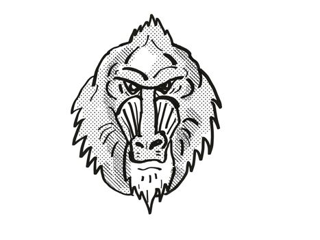 Retro cartoon style drawing head of a Mandrill, a monkey species viewed from front on isolated white background done in black and white