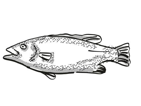 Retro cartoon style drawing of a hapuku , a native New Zealand marine life species viewed from side on isolated white background done in black and white