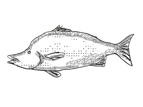 Retro cartoon style drawing of a giant boarfish, a native New Zealand marine life species viewed from side on isolated white background done in black and white