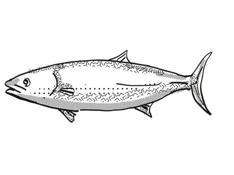 Retro cartoon style drawing of a kingfish, a native New Zealand marine life species viewed from side on isolated white background done in black and white