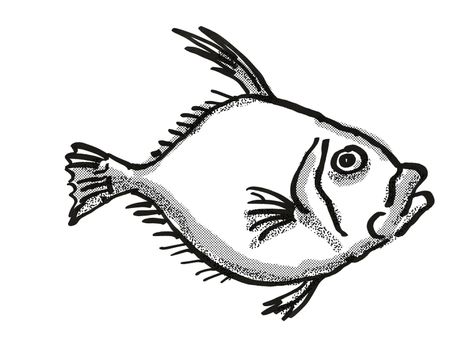 Retro cartoon style drawing of a Silver Dory, a native New Zealand marine life species viewed from side on isolated white background done in black and white