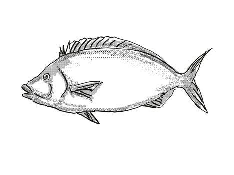 Retro cartoon style drawing of a porae, a native New Zealand marine life species viewed from side on isolated white background done in black and white