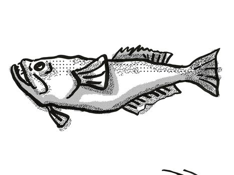 Retro cartoon style drawing of a stargazer, a perciform fish native New Zealand marine life species viewed from side on isolated white background done in black and white