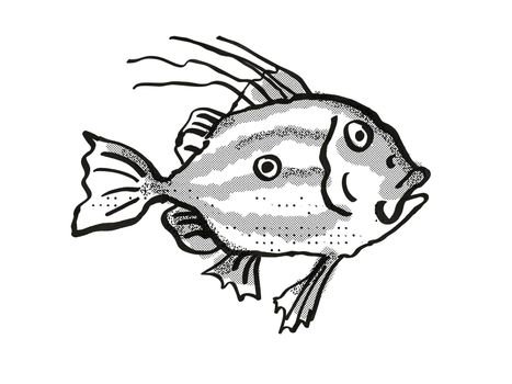 Retro cartoon style drawing of a John Dory, a native New Zealand marine life species viewed from side on isolated white background done in black and white