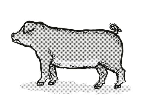 Retro cartoon style drawing of a Duroc sow or boar, a pig breed viewed from side on isolated white background done in black and white