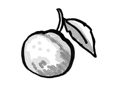 Retro cartoon style drawing of an orange fruit with leaf on isolated white background done in black and white