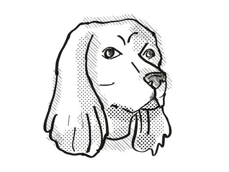 Retro cartoon style drawing of head of a Cocker Spaniel , a domestic dog or canine breed on isolated white background done in black and white.