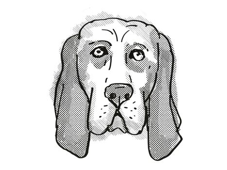 Retro cartoon style drawing of head of a Basset Hound , a domestic dog or canine breed on isolated white background done in black and white.