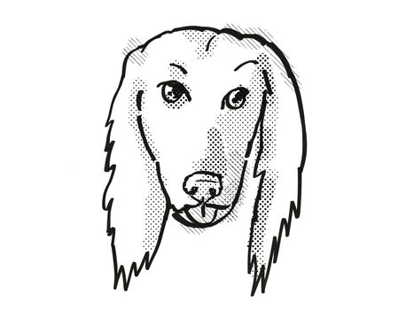 Retro cartoon style drawing of head of an Afghan Hound, a domestic dog or canine breed on isolated white background done in black and white.