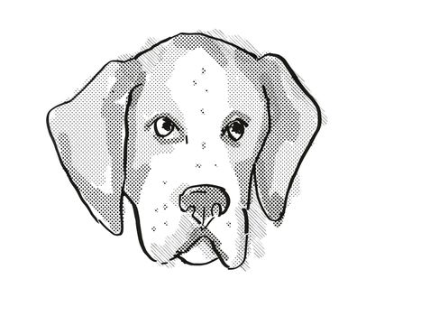 Retro cartoon style drawing of head of an American Foxhound  , a domestic dog or canine breed on isolated white background done in black and white.