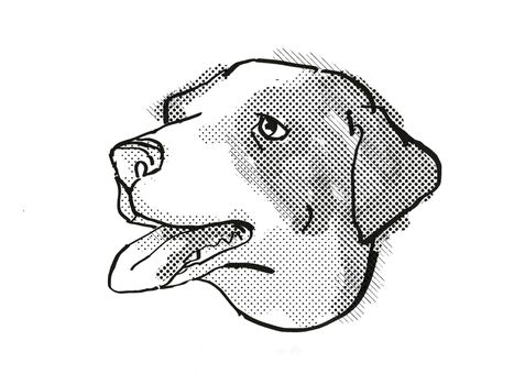 Retro cartoon style drawing of head of an Appenzeller Sennenhunde  , a domestic dog or canine breed on isolated white background done in black and white.