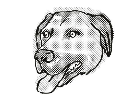 Retro cartoon style drawing of head of an Anatolian Shepherd Dog  , a domestic dog or canine breed on isolated white background done in black and white.