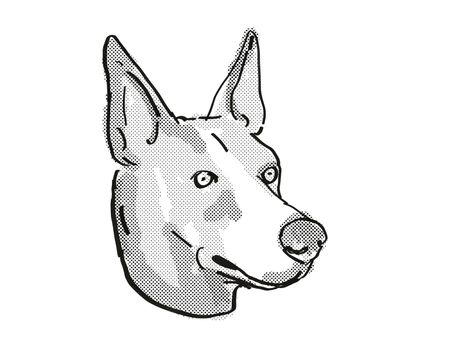 Retro cartoon style drawing of head of a Basenji dog , a domestic dog or canine breed on isolated white background done in black and white.