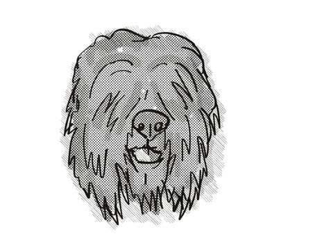 Retro cartoon style drawing of head of a Black Russian Terrier , a domestic dog or canine breed on isolated white background done in black and white.
