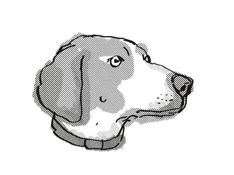 Retro cartoon style drawing of head of a Boglen Terrier also called Boggle or Boston Beagle Terrier  , a domestic dog or canine breed on isolated white background done in black and white.