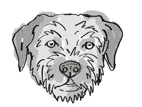 Retro cartoon style drawing of head of a Border Terrier , a domestic dog or canine breed on isolated white background done in black and white.