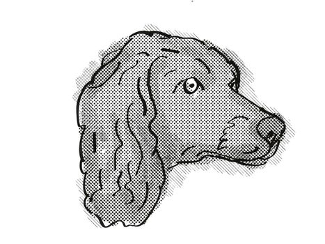 Retro cartoon style drawing of head of a Boykin Spaniel  , a domestic dog or canine breed on isolated white background done in black and white.