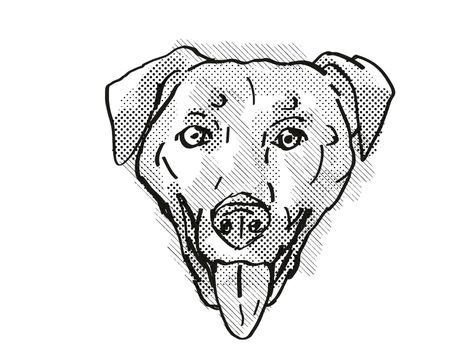 Retro cartoon style drawing of head of a Chinook , a domestic dog or canine breed on isolated white background done in black and white.
