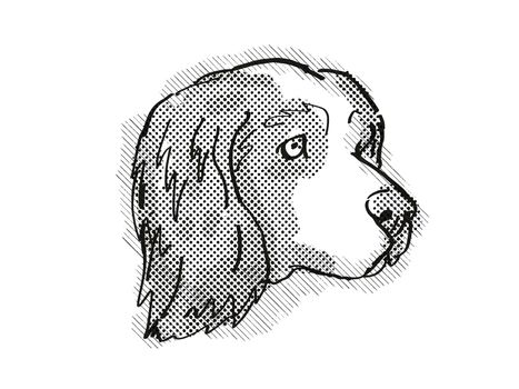Retro cartoon style drawing of head of a Clumber Spaniel, a domestic dog or canine breed on isolated white background done in black and white.