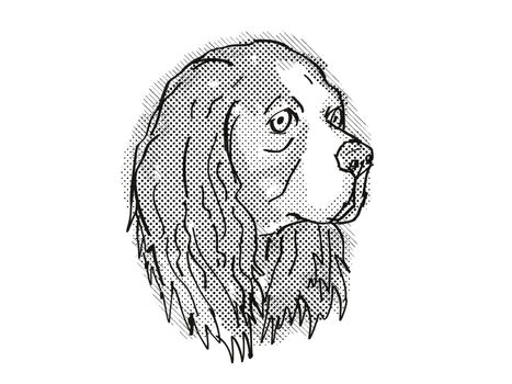 Retro cartoon style drawing of head of a Cavalier King Charles Spaniel, a domestic dog or canine breed on isolated white background done in black and white.