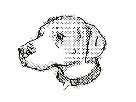 Retro cartoon style drawing of head of an English Foxhound, a domestic dog or canine breed on isolated white background done in black and white.