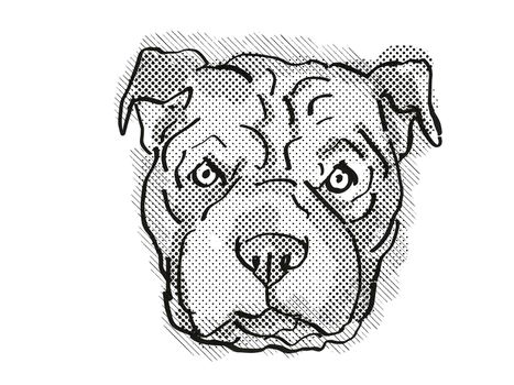 Retro cartoon style drawing of head of a Chinese Shar-Pei, a domestic dog or canine breed on isolated white background done in black and white.