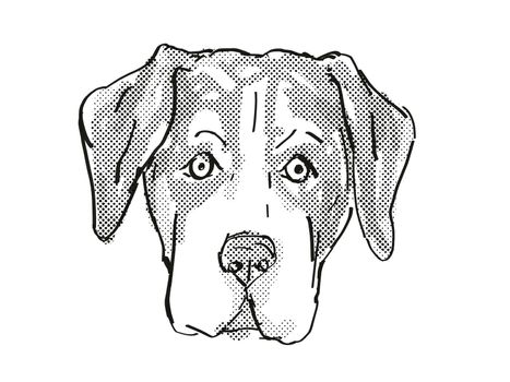 Retro cartoon style drawing of head of an Entlebucher Mountain Dog, a domestic canine breed on isolated white background done in black and white.