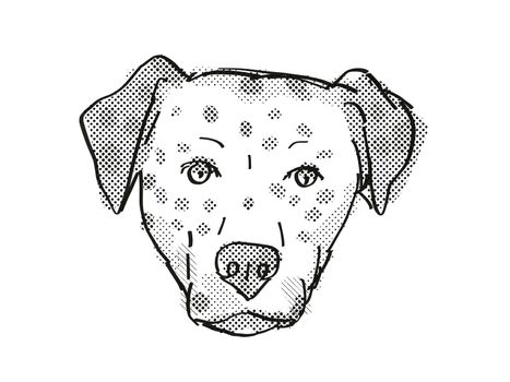 Retro cartoon style drawing of head of a Bullmatian , a domestic dog or canine breed on isolated white background done in black and white.