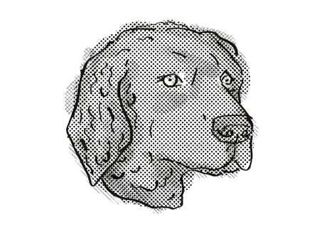 Retro cartoon style drawing of head of a Curly-Coated Retriever, a domestic dog or canine breed on isolated white background done in black and white.