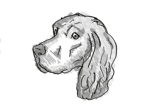 Retro cartoon style drawing of head of a Gordon Setter, a domestic dog or canine breed on isolated white background done in black and white.