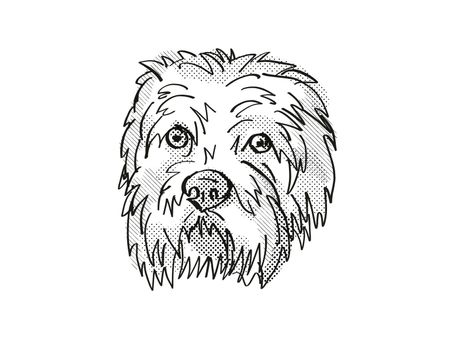 Retro cartoon style drawing of head of a Dandie Dinmont Terrier, a domestic dog or canine breed on isolated white background done in black and white.