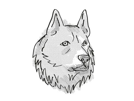 Retro cartoon style drawing of head of a Finnish Spitz, a domestic dog or canine breed on isolated white background done in black and white.