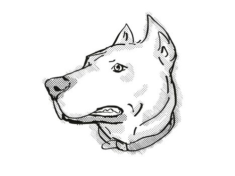 Retro cartoon style drawing of head of a Dogo Argentino, sometimes called the Argentinian Mastiff or the Argentine Dogo, a domestic dog breed on isolated white background done in black and white.