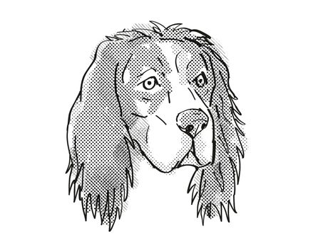 Retro cartoon style drawing of head of an English Setter, a domestic dog or canine breed on isolated white background done in black and white.