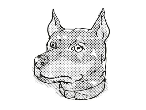 Retro cartoon style drawing of head of a German Pinscher, a domestic dog or canine breed on isolated white background done in black and white.