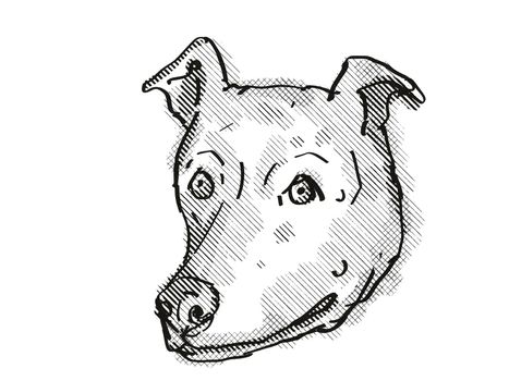 Retro cartoon style drawing of head of a Greyhound, a domestic dog or canine breed on isolated white background done in black and white.