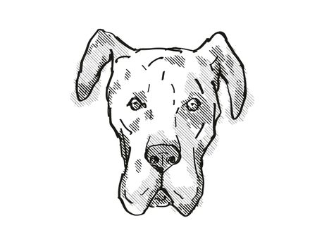 Retro cartoon style drawing of head of a Great Dane, a domestic dog or canine breed on isolated white background done in black and white.