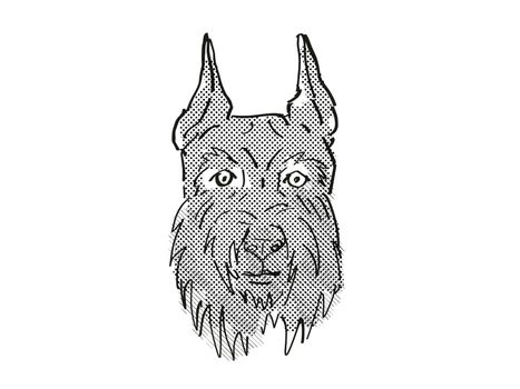 Retro cartoon style drawing of head of a Giant Schnauzer, a domestic dog or canine breed on isolated white background done in black and white.