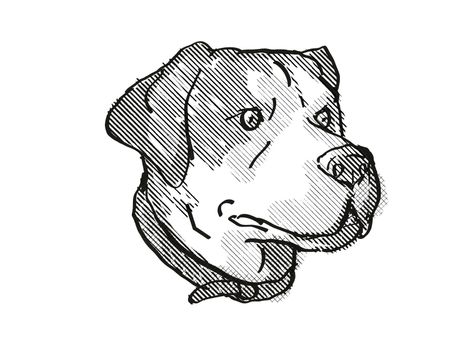 Retro cartoon style drawing of head of a Greater Swiss Mountain Dog, a domestic canine breed on isolated white background done in black and white.